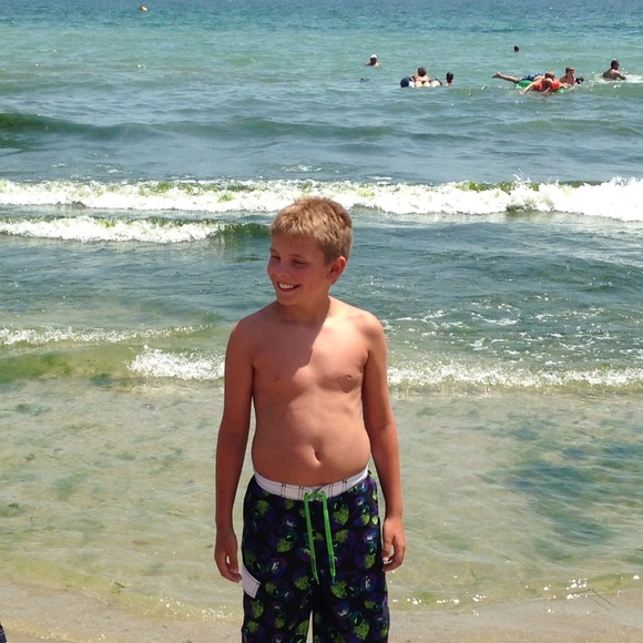 Meet your Posher, Leo - Picture 1 of 1